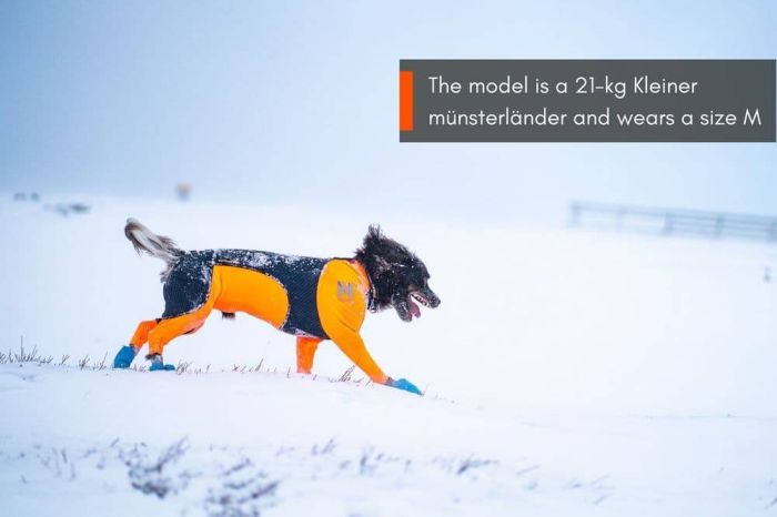 Комбінезон для собак чоловічої статі Protector snow Non-stop dogwear Чорний/Помаранчевий XS