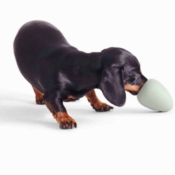 Іграшка з отвором для ласощів для собак Beco Pets Boredom Buster Зелений