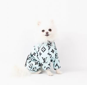 Дощовик Імідж плащівка без підкладки унісекс S 29 см.  40-45 см. 