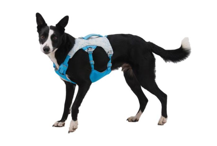 Охолоджувальна шлейка для собак Ruffwear Swamp Cooler™ S 56-69 см Блакитний