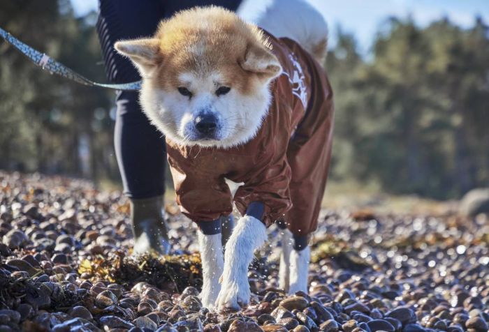 Дощовик комбінезон для собак Hurtta Mudventure Overall ECO 30M Помаранчевий