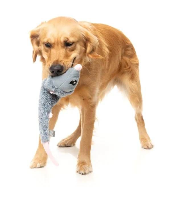 М'яка іграшка для собак FuzzYard Криска