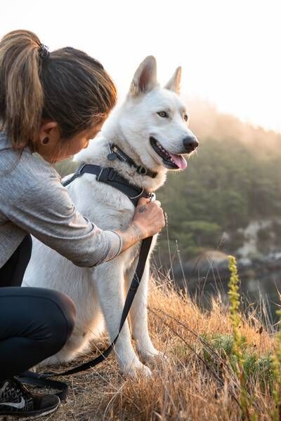 Повсякденний нашийник для собак Ruffwear Front Range™ 36-51 см Сірий