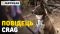 Рефлекторний повідець для собак Ruffwear Crag™ Бірюзово-блакитний