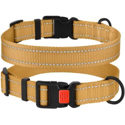 Нашийник для собак BronzeDog золото пластиковий фастекс 1226 51Т 20мм (30-40см)