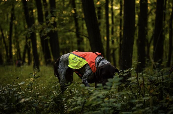 Жилет для собак Non-stop dogwear Protector vest 2.0 Помаранчевий 2XS