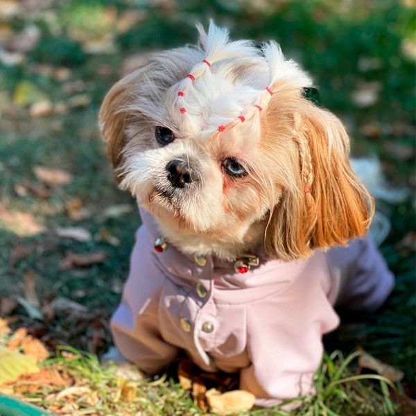 Комбінезон Надія велсофт (дівчинка) М