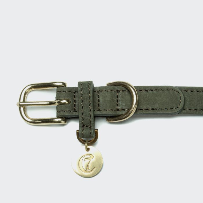 Нашийник для собак Cloud7 Tiergarten Зелений XS