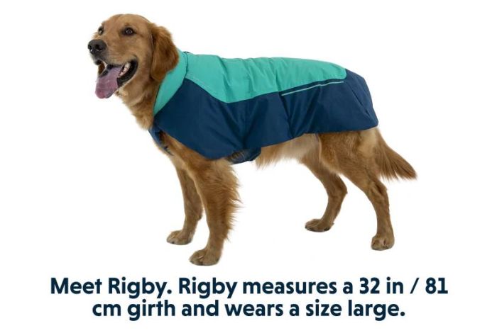 Водонепроникна куртка для собак Ruffwear Vert XXS Бірюзовий