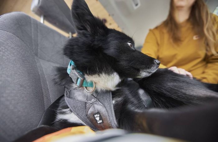 Шлейка для подорожей для собак Hurtta Travel ECO 0-5 кг Сірий