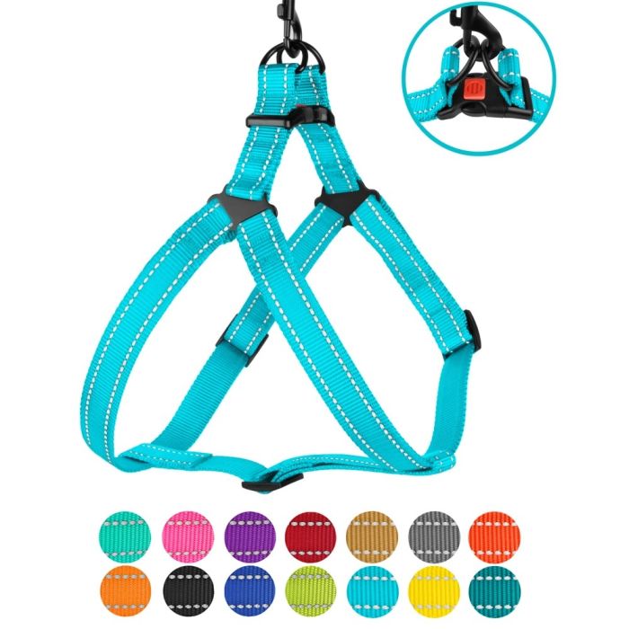 Шлея для собак BronzeDog 16мм (40-53 см) блакитна пластиковий фастекс 1222 70Т 