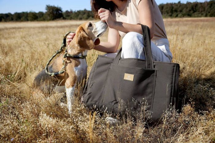 Сумка-килим для собак Palopa Nobo Сірий