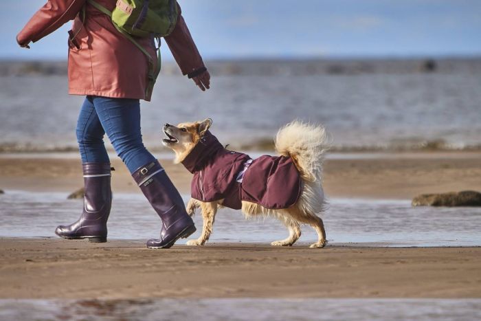 Дощовик для собак Hurtta Mudventure Coat ECO 45 Фіолетовий