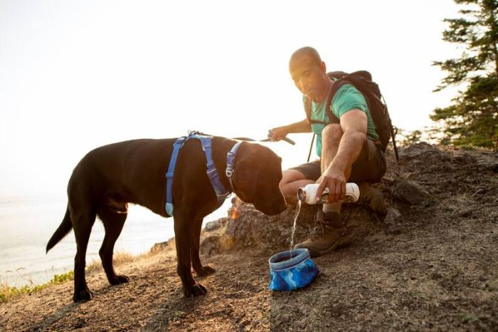 Повсякденний нашийник для собак Ruffwear Front Range™ 28-36 см Блакитно-синій