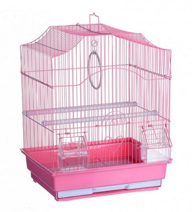 Клітка а412 емаль золота клітина