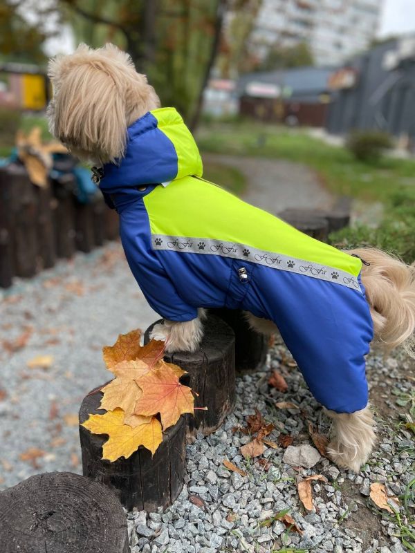 Промінь комбінезон для собак хлопчиків на силіконі XS
