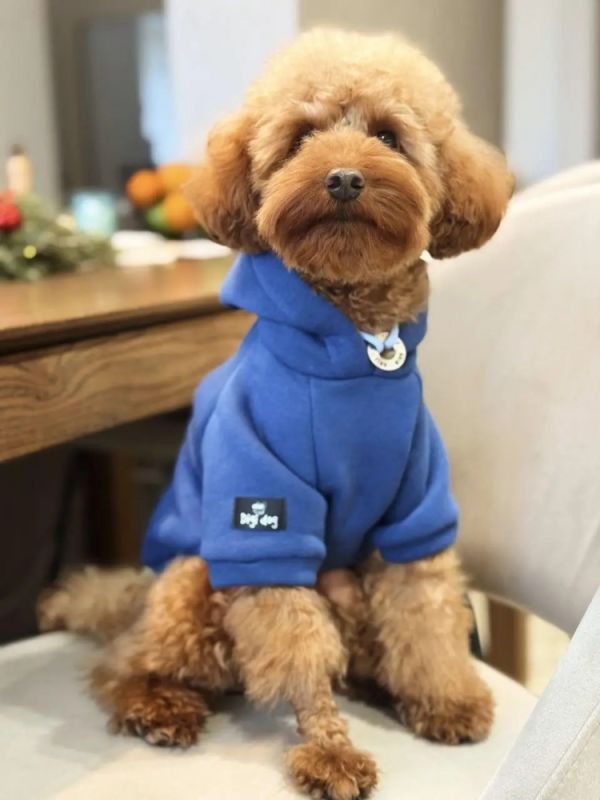 Худі Indigo Digi Dog для собак толстовка синя. L. 36 см58 см. 