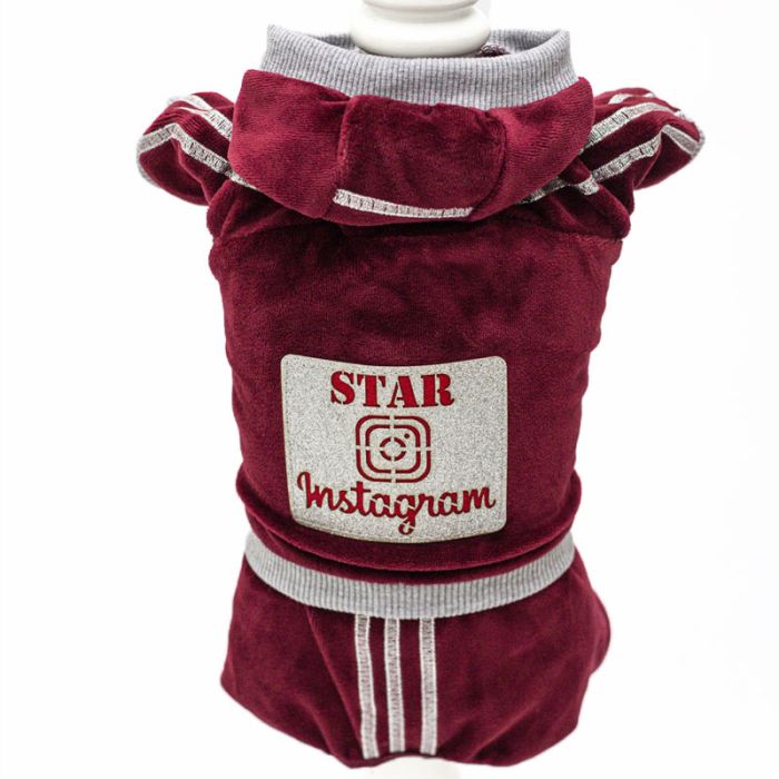 Instagram комбінезон для собак дівчаток велюр S2