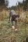 Шкарпетки для собак Protector light socks Non-stop dogwear Помаранчевий S 4 Шт.