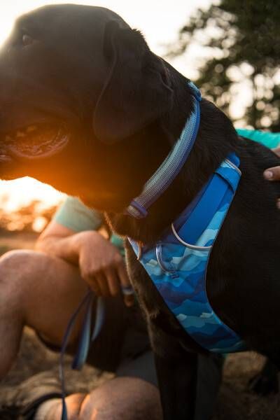 Повсякденний нашийник для собак Ruffwear Front Range™ 51-66 см Блакитно-синій