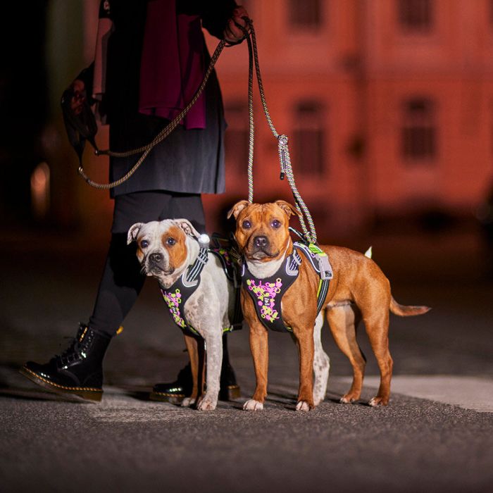 Шлейка пом'якшена для собак Hurtta Weekend Warrior Neon Harness II ECO Лакрична 55-70