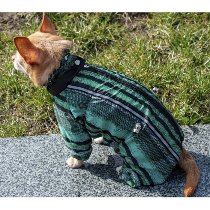 Комбінезон для собак хлопчиків Ківі на тонкій підкладці XXS