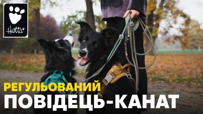 Регульований повідець для собак Hurtta ECO 120-180 см х 8 мм Сірий