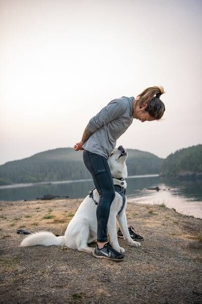 Повсякденна шлейка для собак Ruffwear Front Range® XXS 33-43 см Сірий