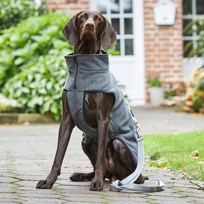 Флісова куртка для собак демісезонна Wolters Casual Сірий 65 см