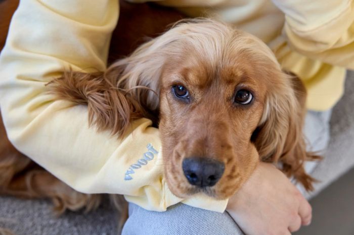 Світшот для власників собак Palopa Жовтий S