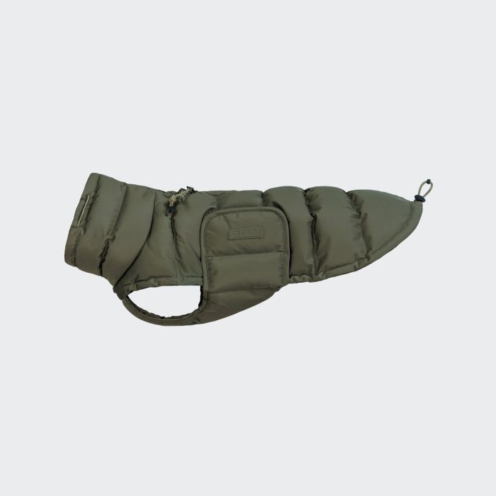 Утеплена куртка для такс і схожих порід собак Cloud7 Alaska Dachshund Оливковий 5