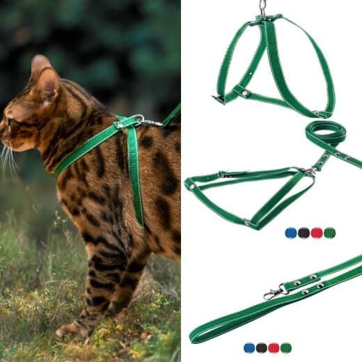 Шлея човник з повідцем капрон 30  30см довжина повідця 130см Червоний