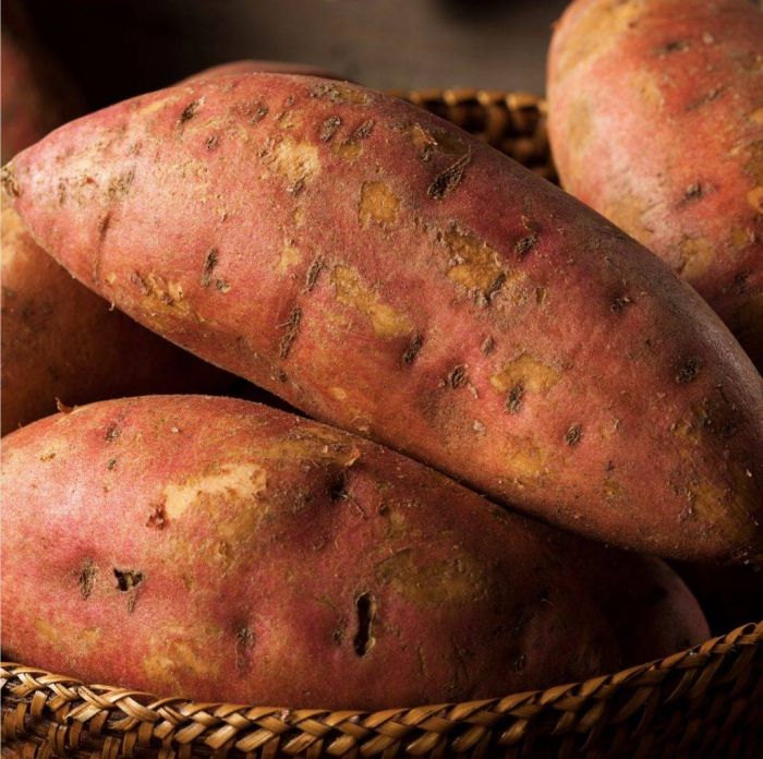 Натуральний топер (вітамінна та смакова добавка) для собак Cooka's Cookies Сушені шматочки з батату 130 г