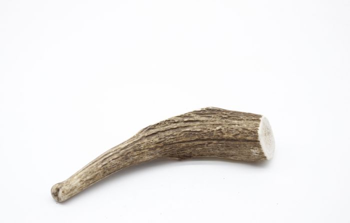 Ріг оленя Lucky dogs Середній. S 17-20 см.