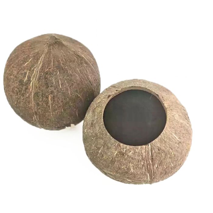 Кокос-гніздо нечищене для птахів 