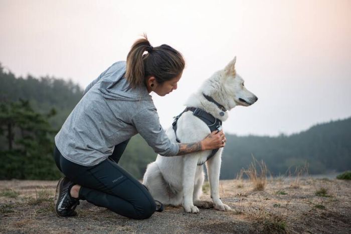 Повсякденна шлейка для собак Ruffwear Front Range® M 69-81 см Сірий