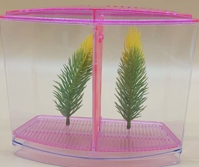 Відсадник пластиковий двосекційний 19914 з декором 