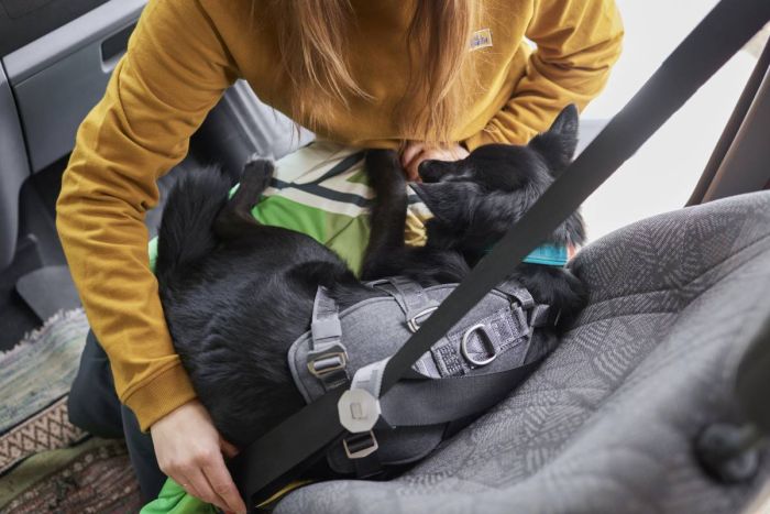 Шлейка для подорожей для собак Hurtta Travel ECO 10-20 кг Сірий