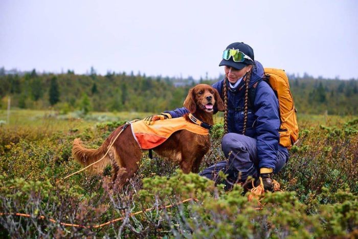 Повідець для собак Protector round long line Non-stop dogwear Помаранчевий 10 м