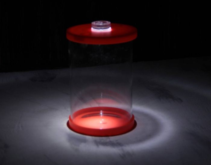 Стакан акваріум овальний з підсвічуванням 10 х 13 см