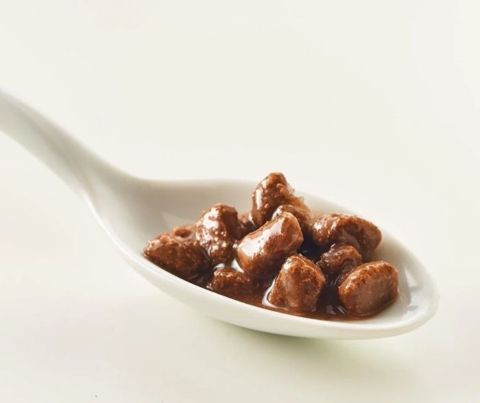 Kattovit Diet Renal, шматочки у соусі яловичина 85 г. 