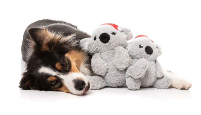 М'яка іграшка для собак FuzzYard Коко Коала S