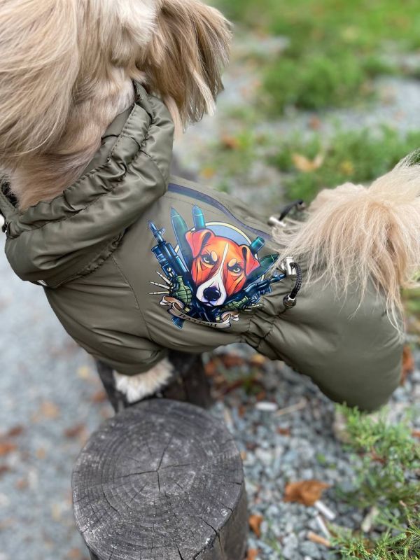 Хакі комбінезон для собак хлопчиків на силіконі XS