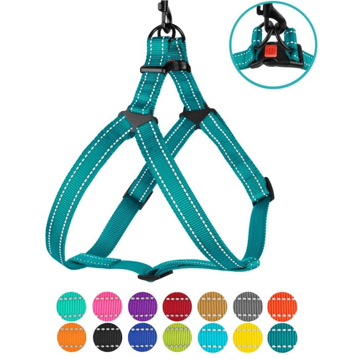 Шлея для собак BronzeDog Бірюза пластиковий фастекс 1225 70Т 16мм (40-53см)