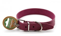 Нашийник Franty Style Paw шкіра Рожевий 25 мм  36-46 см. 