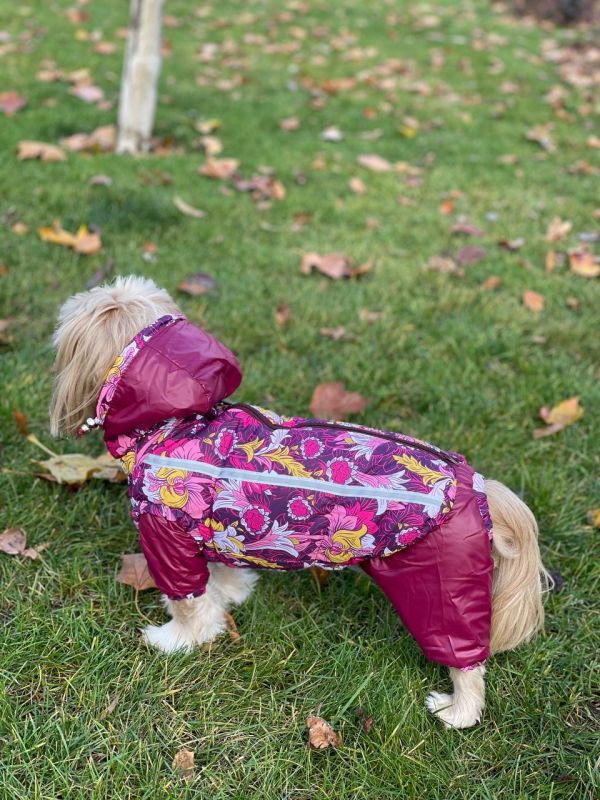 Набір Фрезія жилет силікон + комбінезон велсофт бордо (дівчинка) М