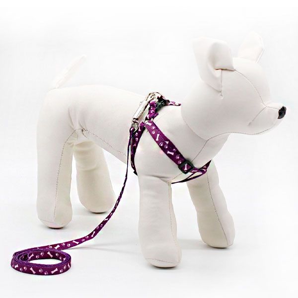 Комплектт Кісточка з лапками стрічка 