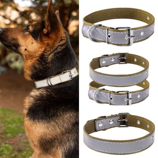 Нашийник брезент одинарний світловідбиваючий 21-35 см