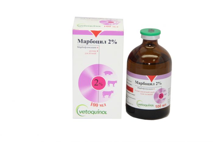 Марбоцил 2 100мл Аб марбофлоксацин інєкція, Ветоквинол 