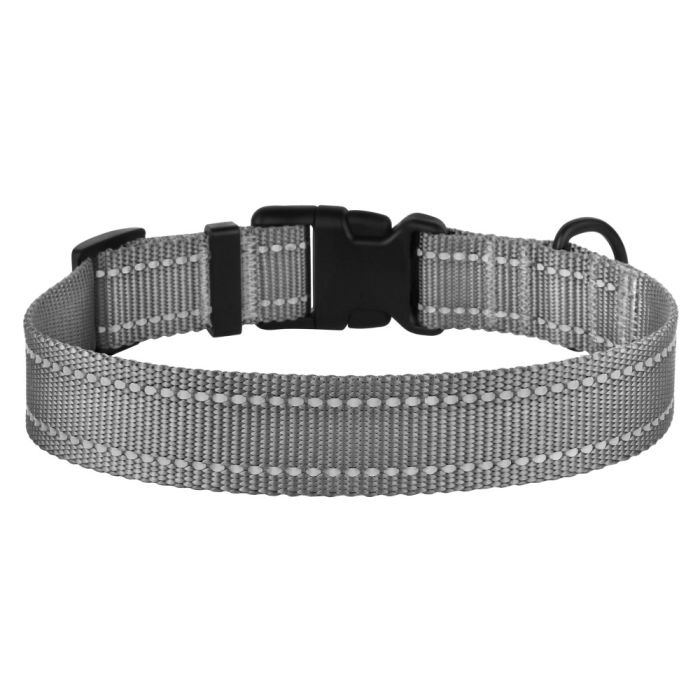 Нашийник для собак BronzeDog 25мм (43-66см) сірий пластиковий фастекс 1311 53т 